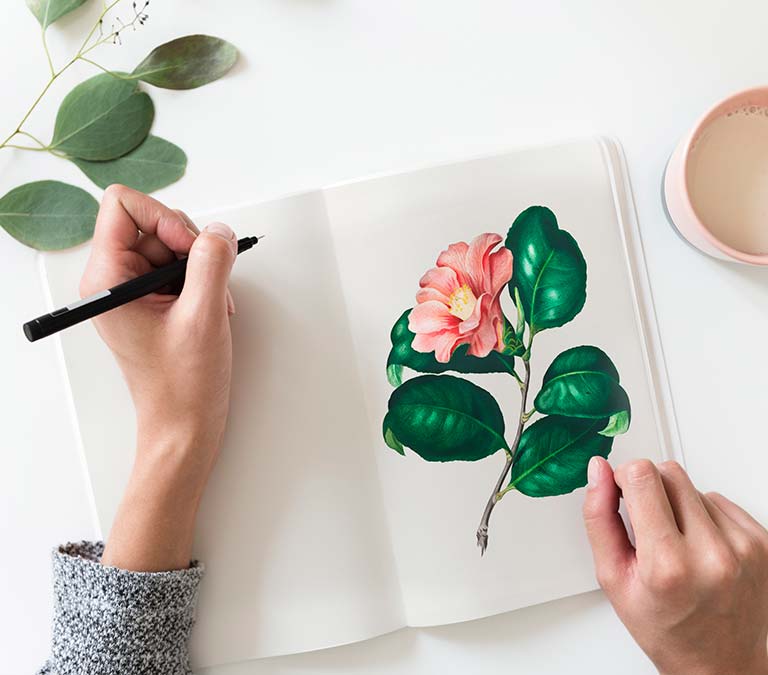 Pintura Farmacia valdoviño